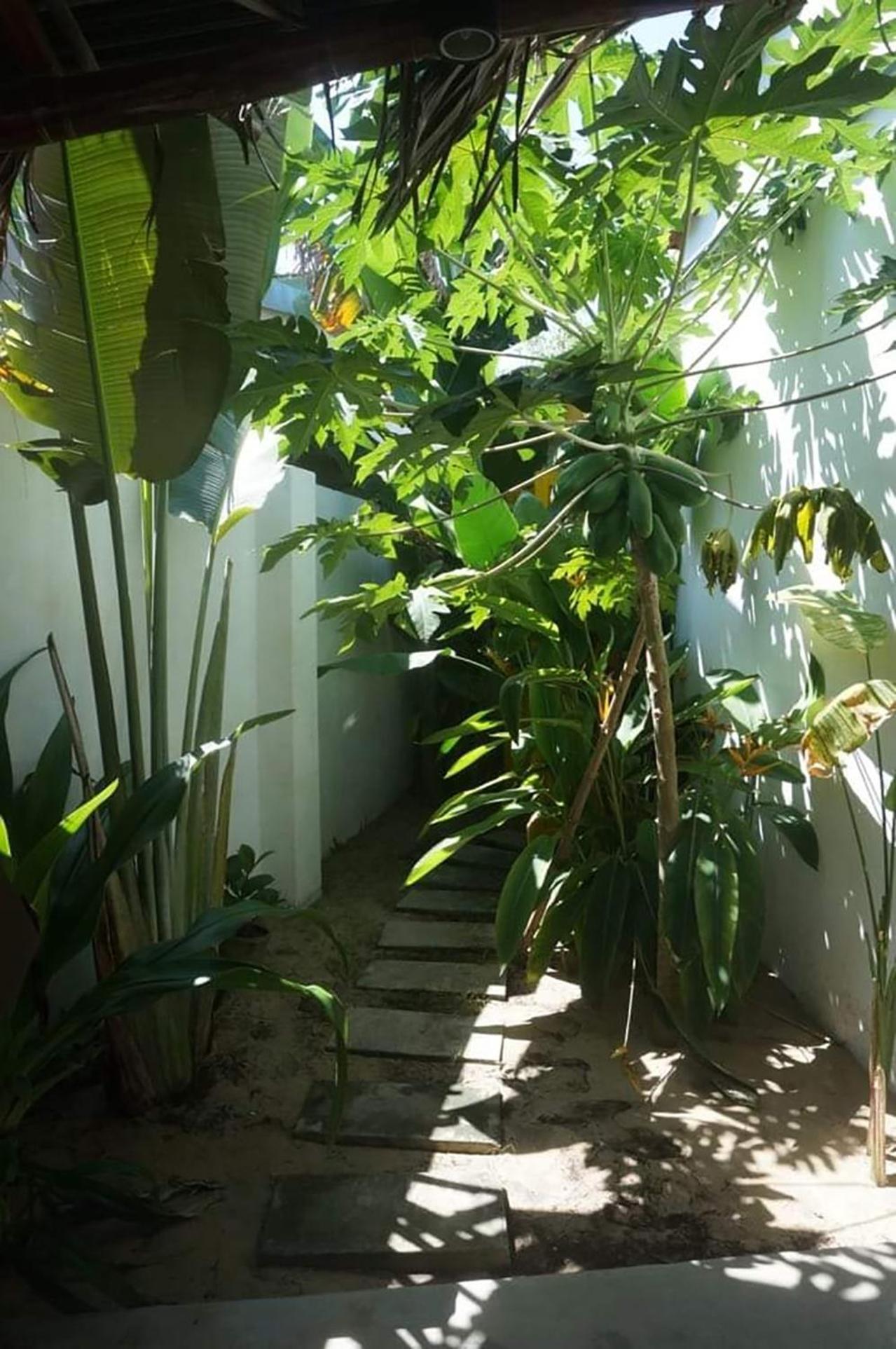 Be'S Beach House An Bang Hoi An Bilik gambar